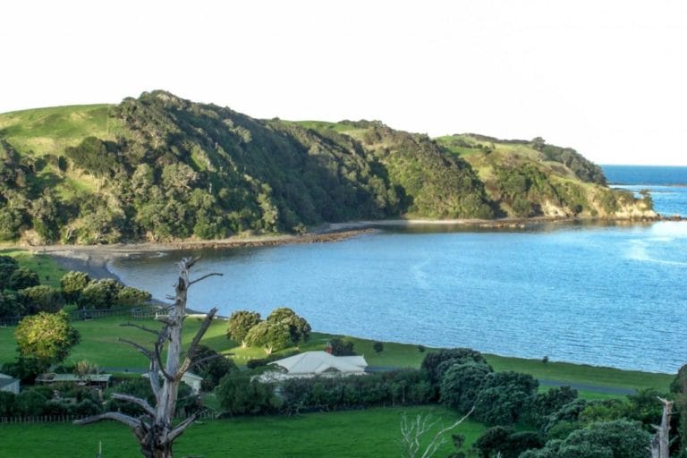 Tawharanui Ridge Walk