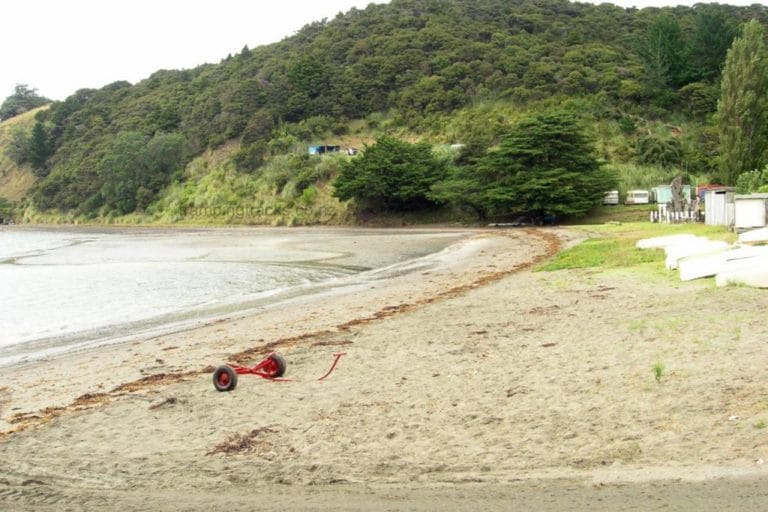 Wenderholm Regional Park Beach Walk