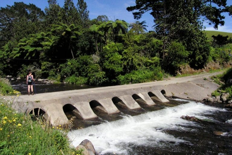 Wairoa River