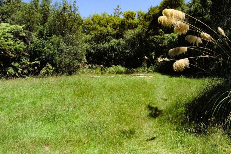 Old site of the Waitengaue Hut