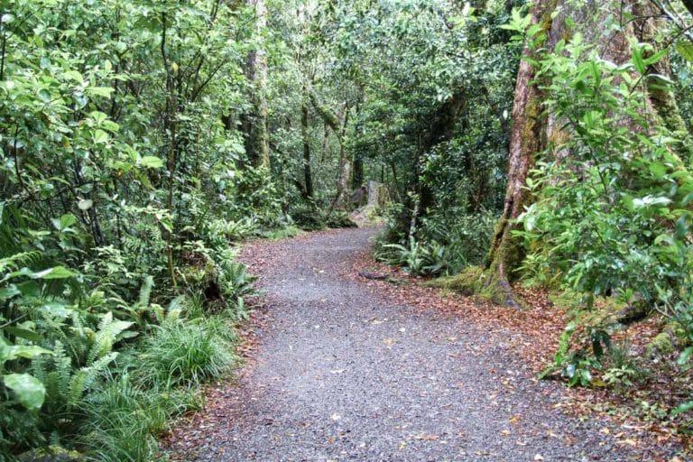 Atiwhakatu Hut Walk