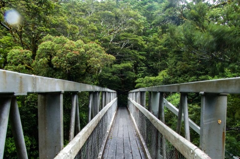 Atiwhakatu Hut Walk