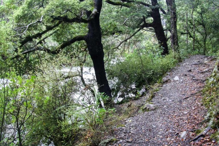 Atiwhakatu Hut Walk