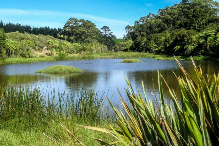 Awhitu Regional Park Walk