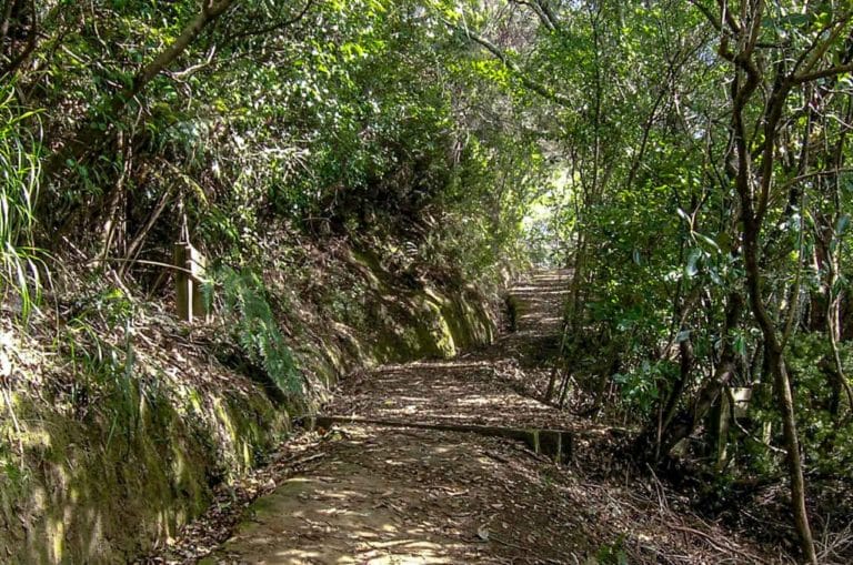 Awhitu Regional Park Walk