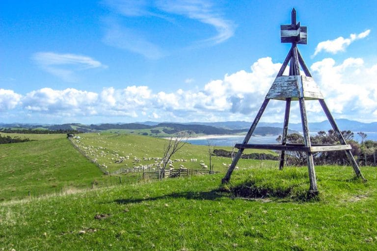 highest point on the walk