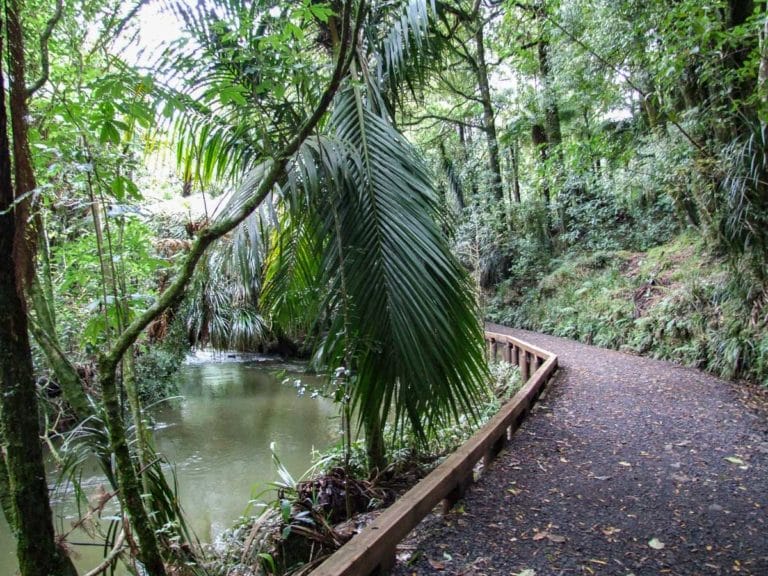 Lovely wide walking track following the stream