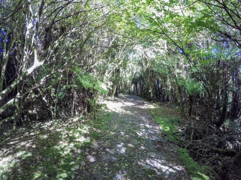 Callery Gorge Walk track