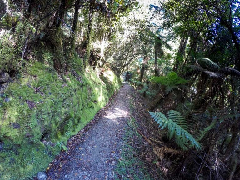 Callery Gorge Walk