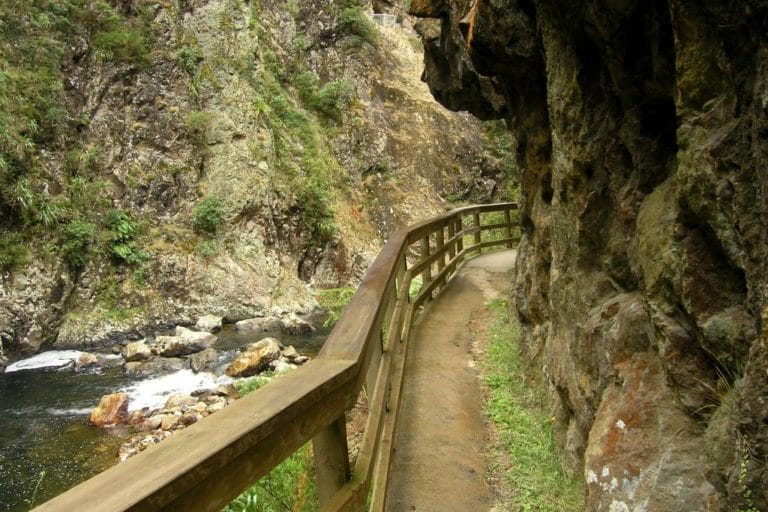 Karangahaka Gorge Walk To Wharawhara Road End