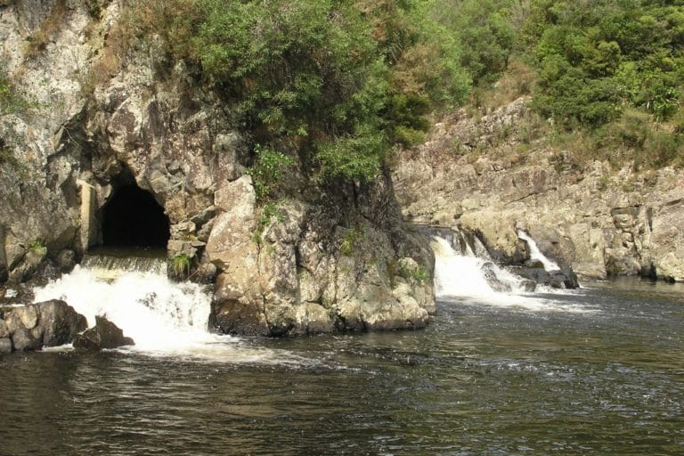 Karangahaka Gorge Walk To Wharawhara Road End