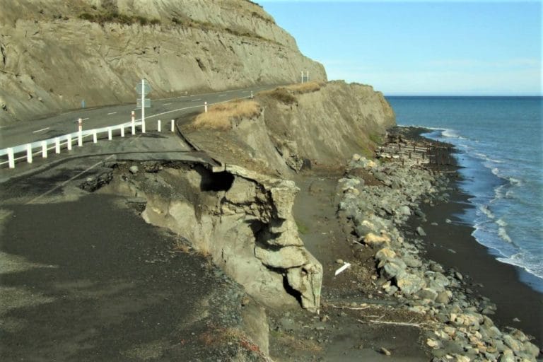 Palliser Bay