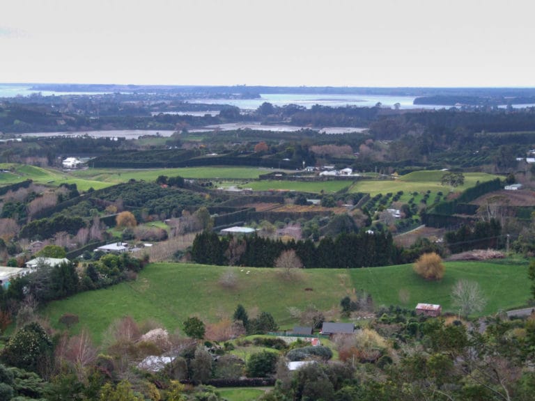 Te Puna Quarry Park Walk