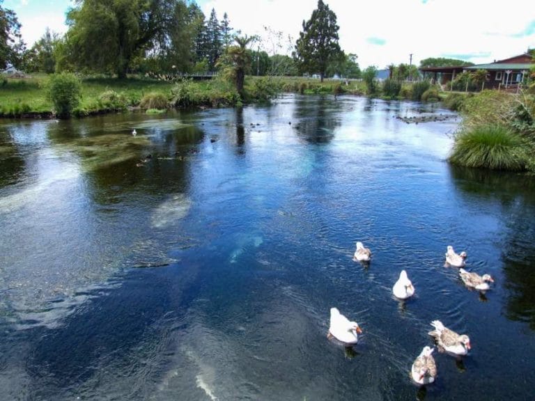 Hamurana Springs