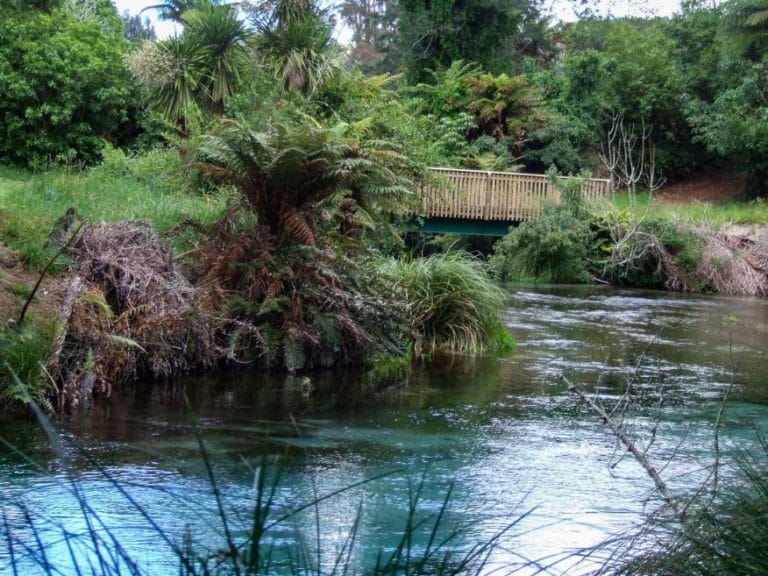 Hamurana Springs