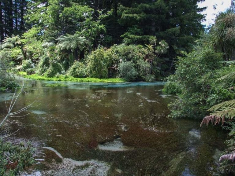 Hamurana Springs