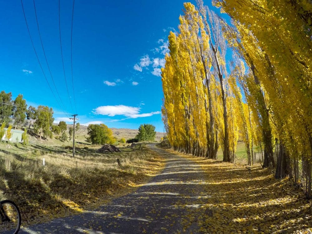 Five minutes into the ride up to Fraser Dam near Clyde in Central Otago