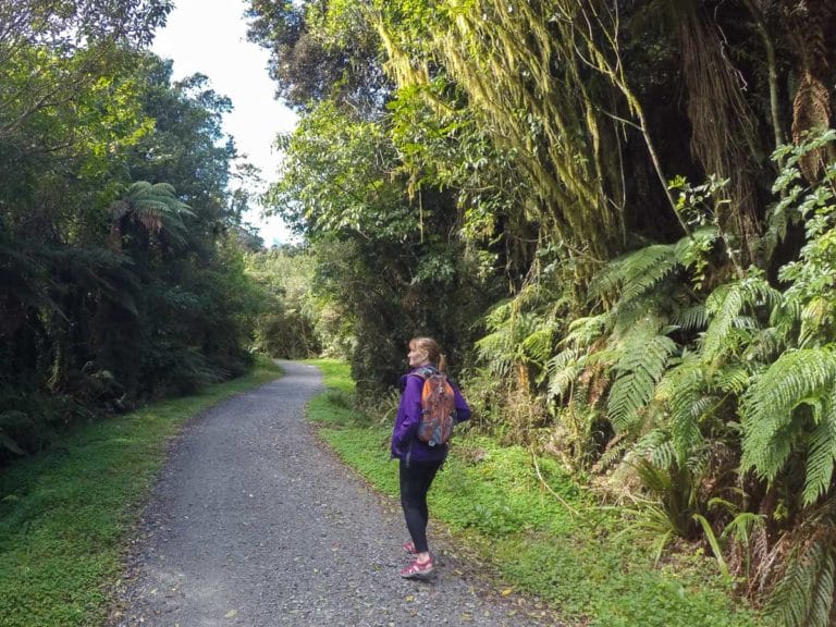 The road in to Callery Gorge walk.