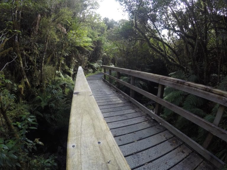 Lake Wombat Walk, Franz Josef