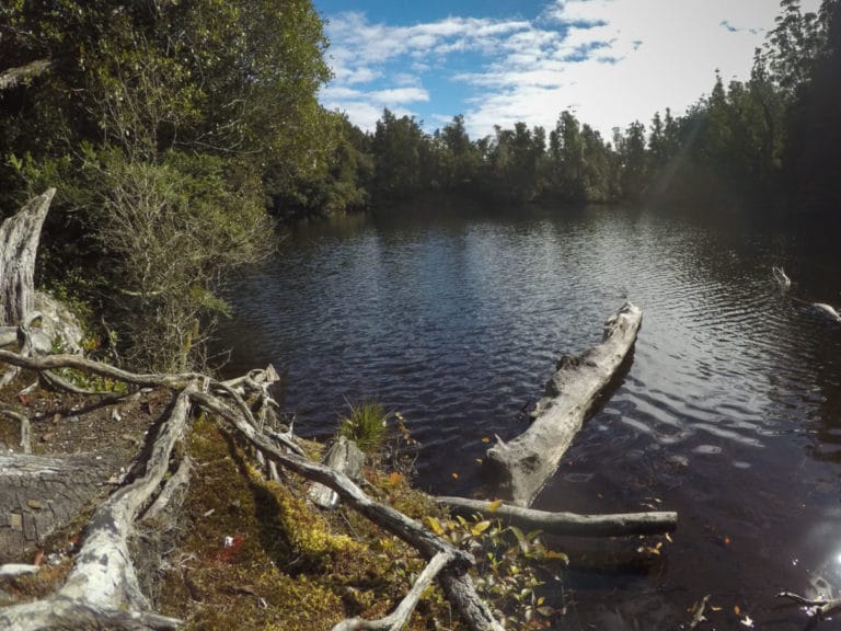 Lake Wombat Walk