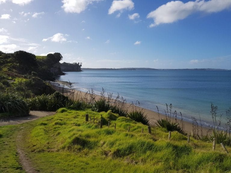 Long bay walking track outlet