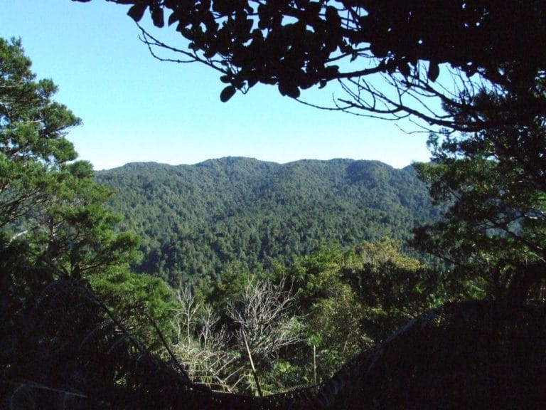 Karangahaka Gorge Walk To Wharawhara Road End