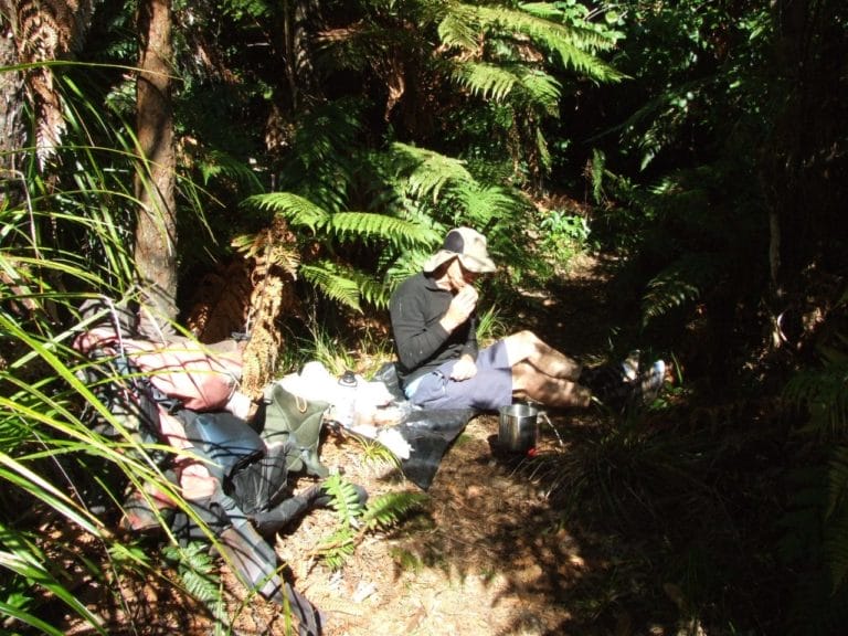 Karangahaka Gorge Walk To Wharawhara Road End