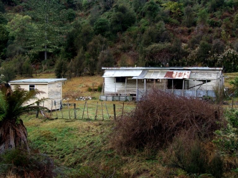 Lake Waikaremoana Drive