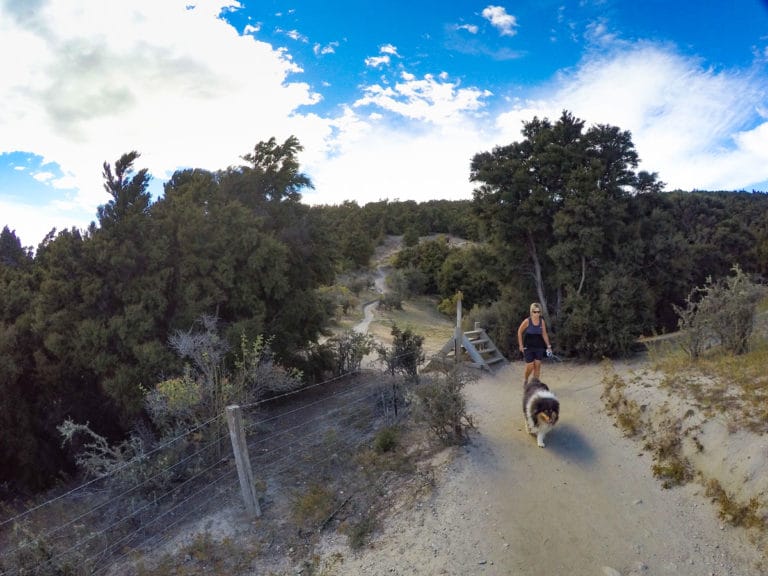 Mount Iron Loop Track Walk