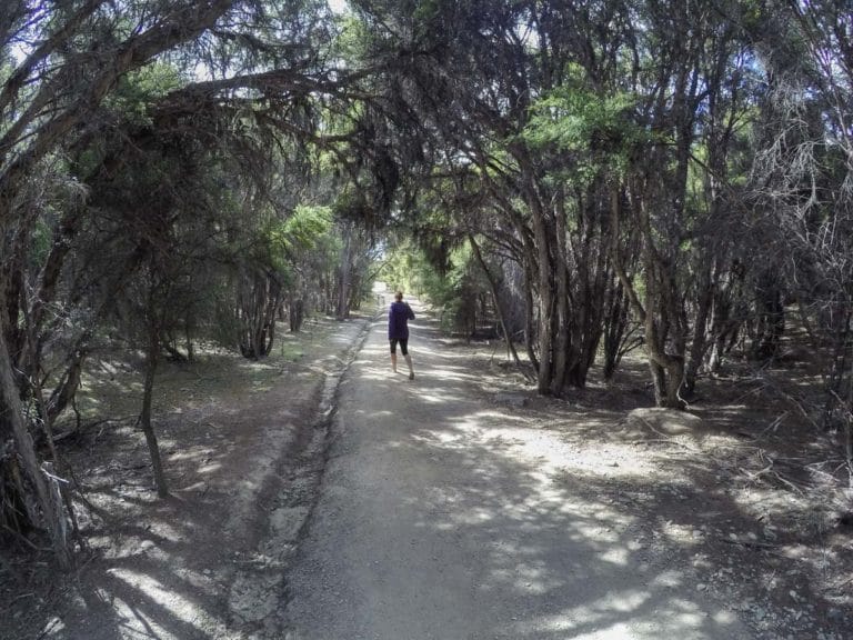 Mount Iron Loop Track Walk