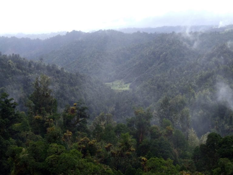 Mt Messenger to Kiwi Road