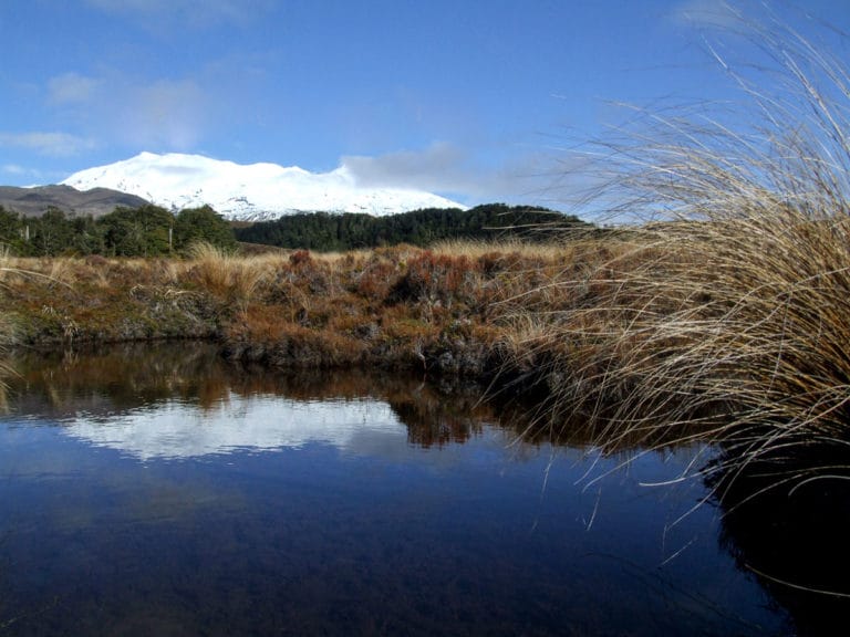 Mt Ruapehu