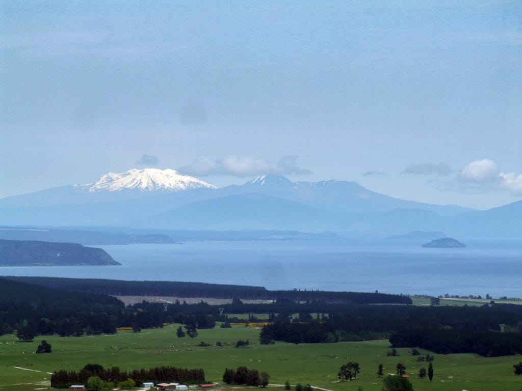 View of Mt Ruapehu from Mt Tauhara walk