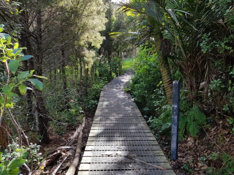 Nature walk at Long Bay Regional Park in Auckland