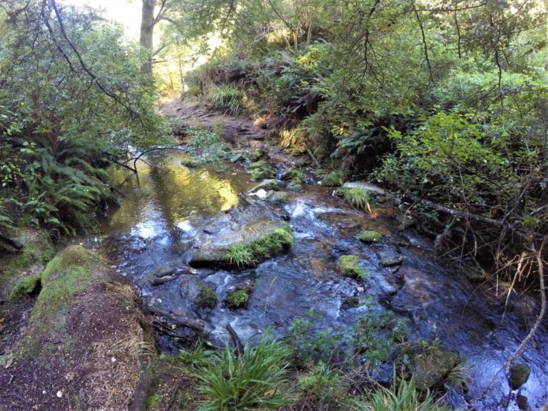 First creek crossing