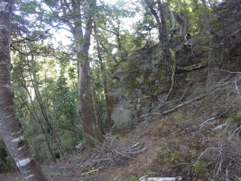 the climb