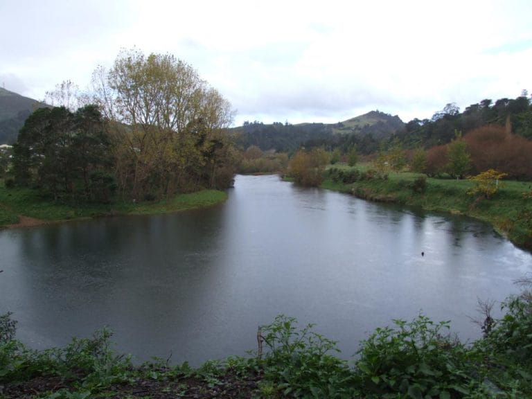 The Ohinemuri River Again