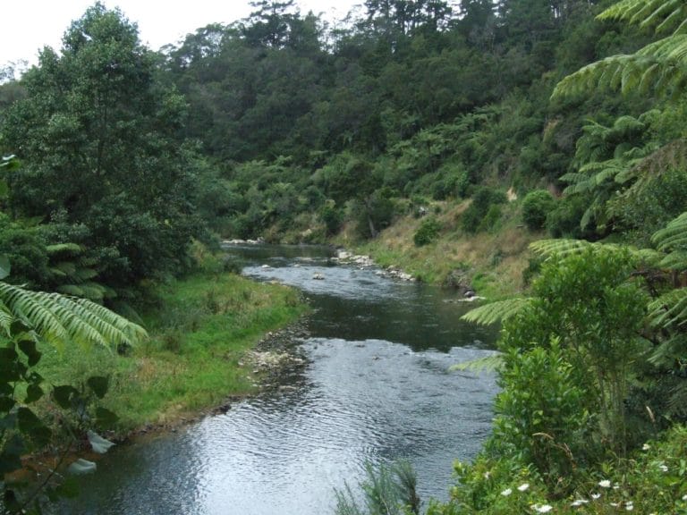 Ohinemuri River