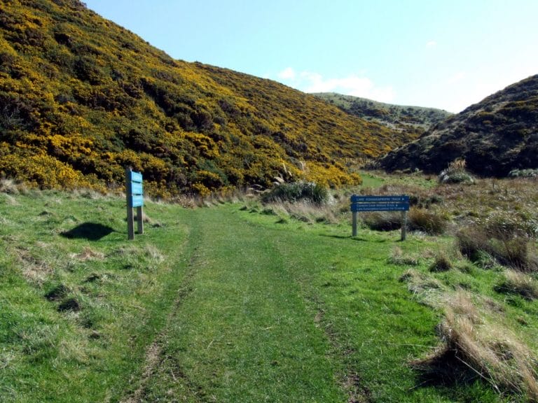 The Track up to the light House