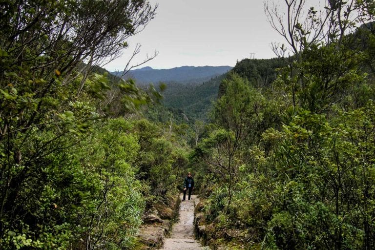 Standing on the track on the climb up to the loggers camp.