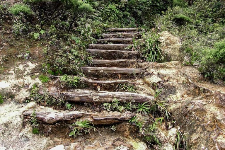 Rough steps to climb