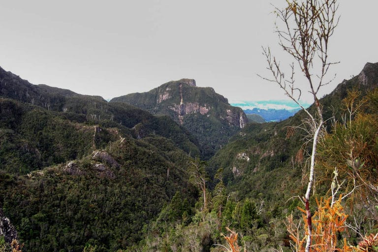 Excellent views of the ranges from the Pinnacles Hut