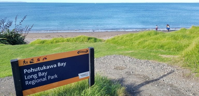 Pohutukawa Bay Beach on the Long Bay Regional Park Coastal Track in Auckland