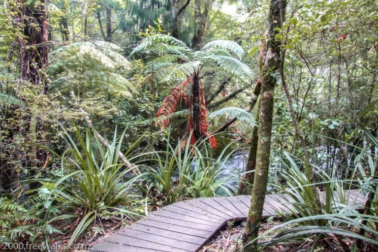 Pupu Springs board walk