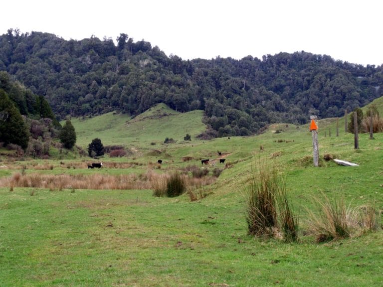 Crossing Rerekapa Station