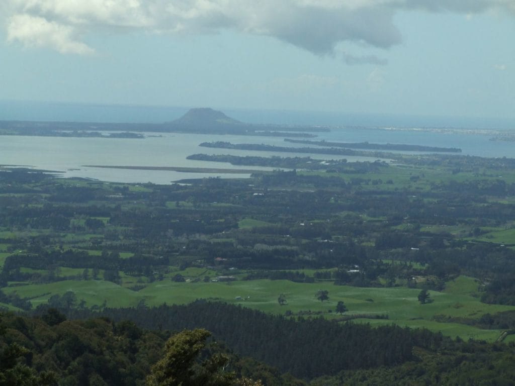 Tauranga