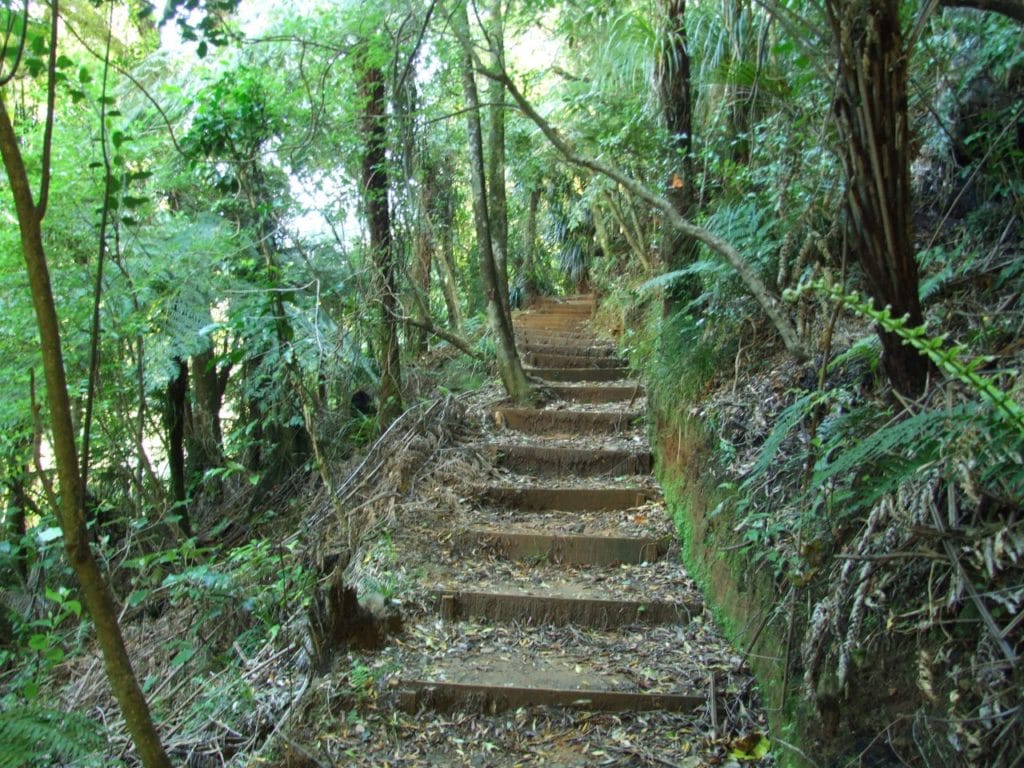 Sentinel Rock track