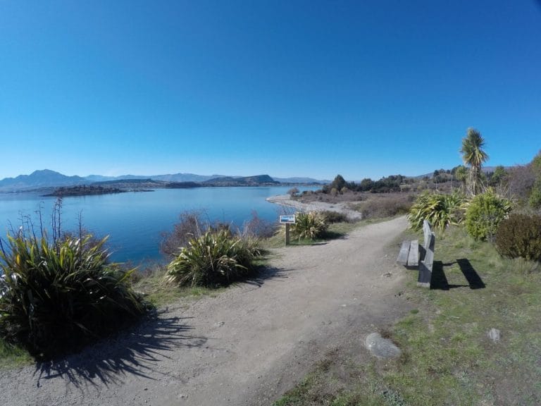 Native tree Plantings - Slaughterhouse Creek Walk