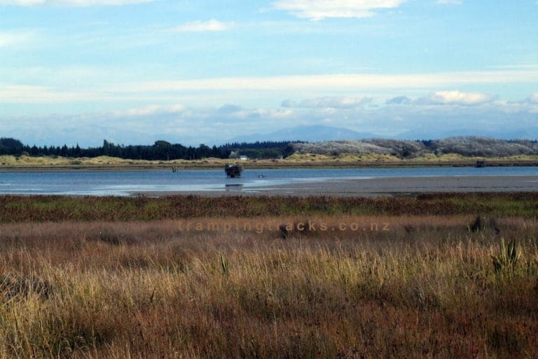 Brooklands Lagoon