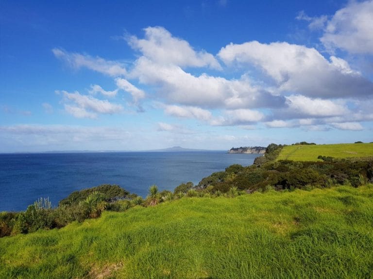 Long bay walking track outlet